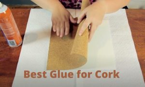 Best-Glue-for-Cork